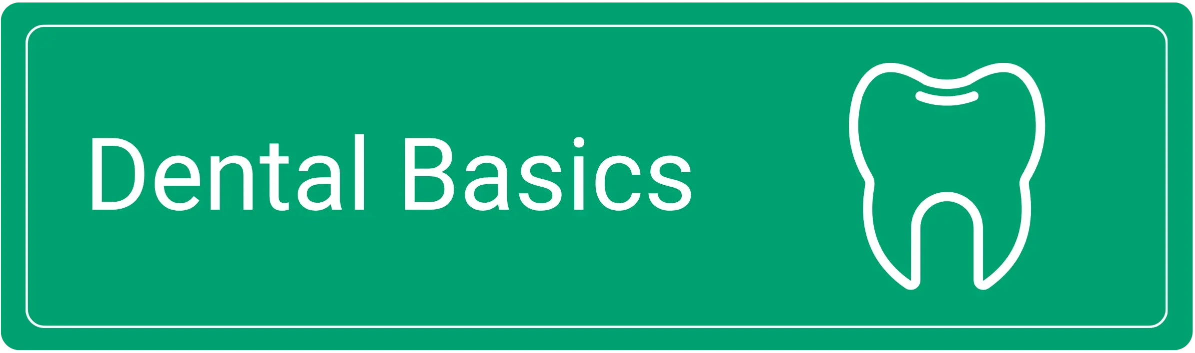 Dental Basics
