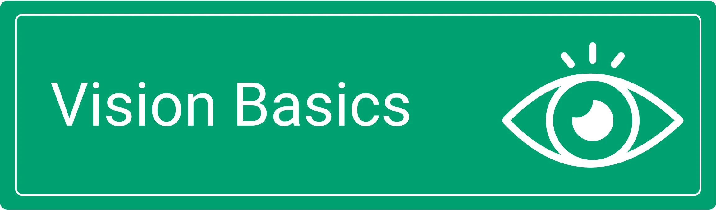 Vision Basics